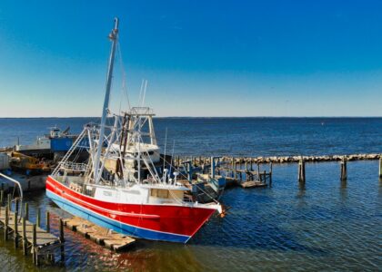 Photo Fishing boats